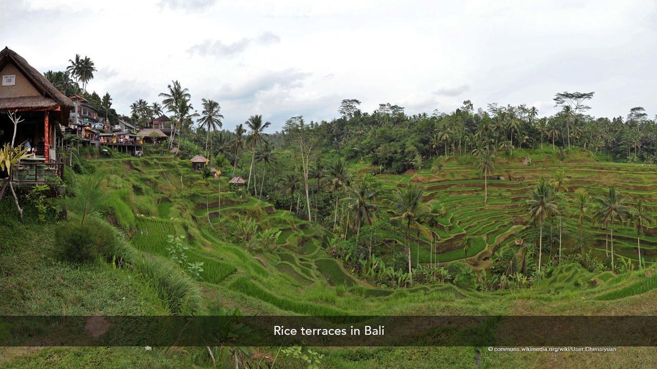 Zen Rooms Basic Kuta Kubu Anyar Kuta Lombok Exterior foto